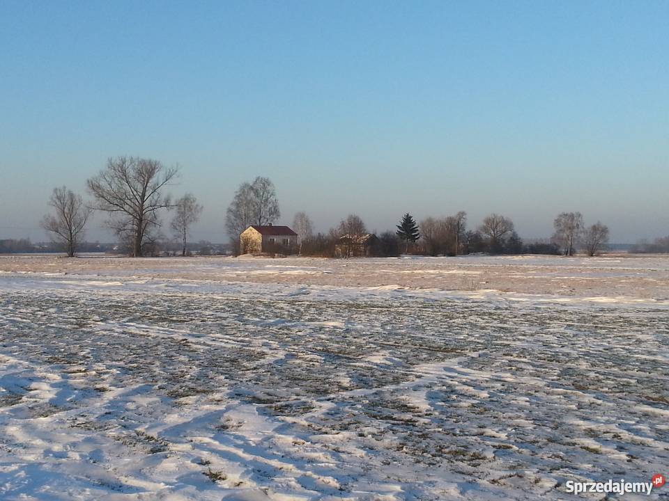 Działka rolna z domem Łazów Łazów