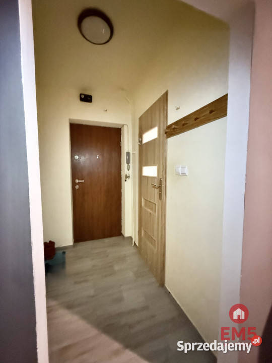 sprzedaży mieszkania 254m2 1pok Augustów blok