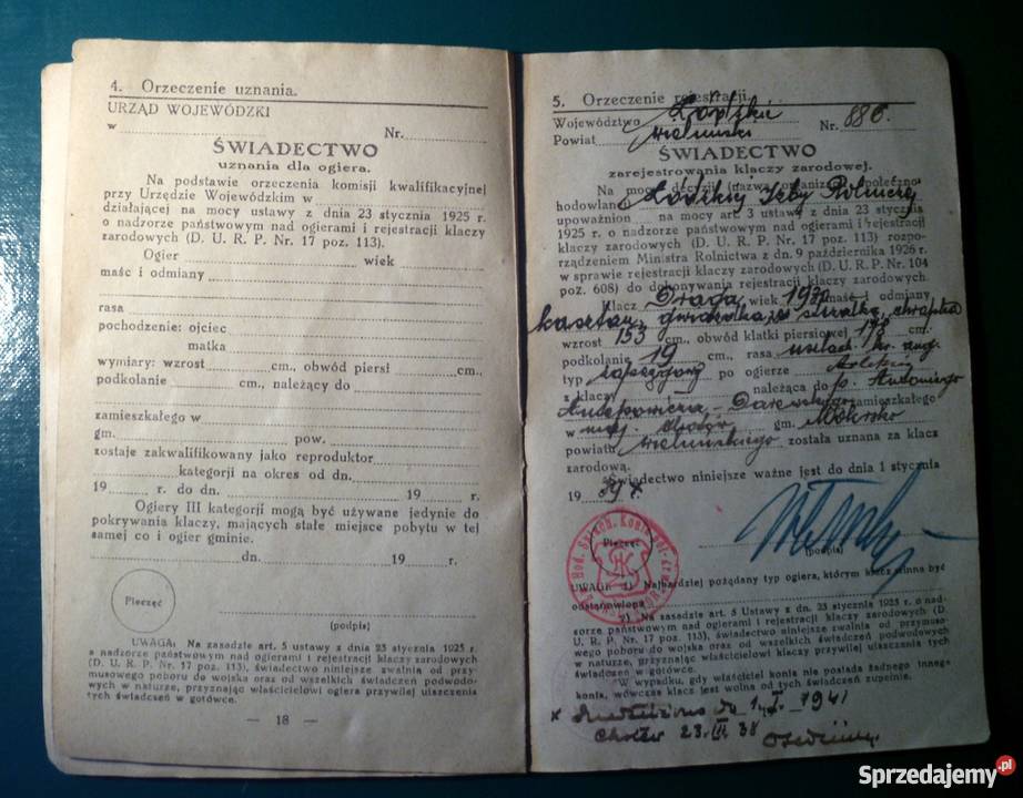 ANTYK 1934 Dowód tożsamości KONIA Kraków sprzedam