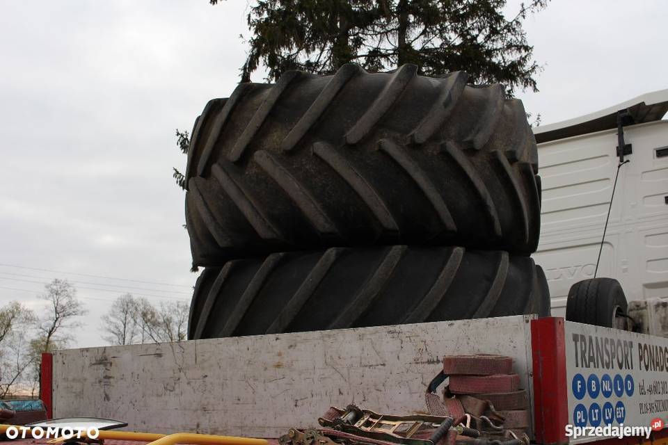 Holland TX36 tx34 Sokoły sprzedam