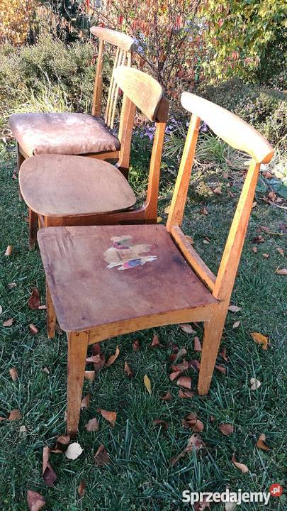 Unikatowe Krzesła Prl Hałas Zieliński Stolarskie Wrocław