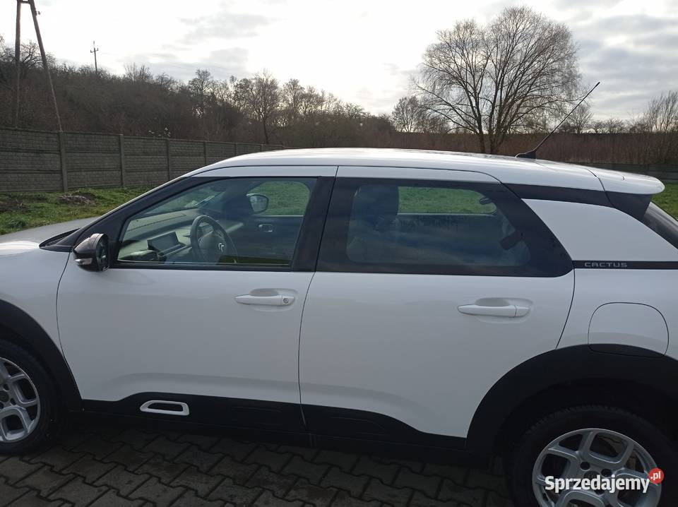 Citroen C4 Cactus 15 bluHdi