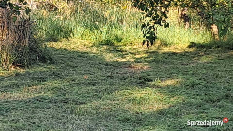 Koszenie wykaszanie usługi ogrodnicze Rokietnica