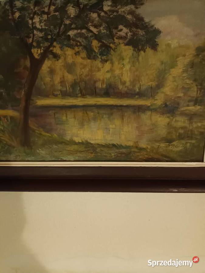 Jezioro wśród drzew sprzedam