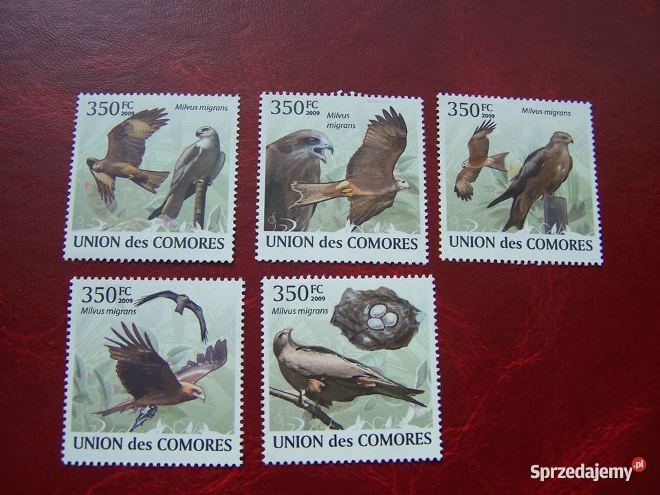 Komory 2009 MNH Fauna Ptaki Jastrzębie Tychy