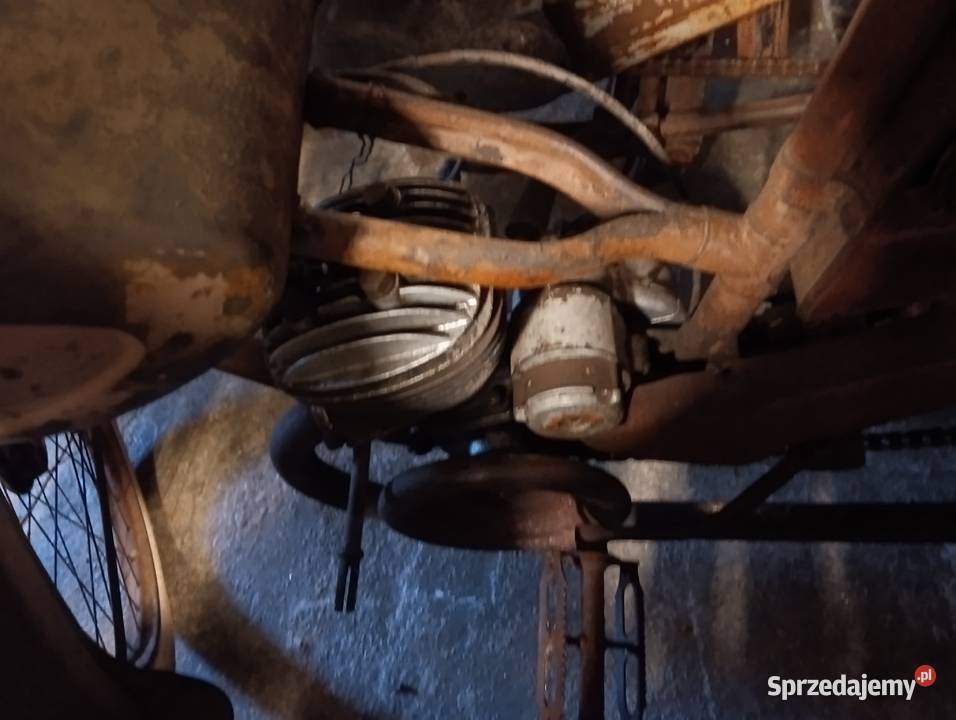 Terrot damka Gostycyn