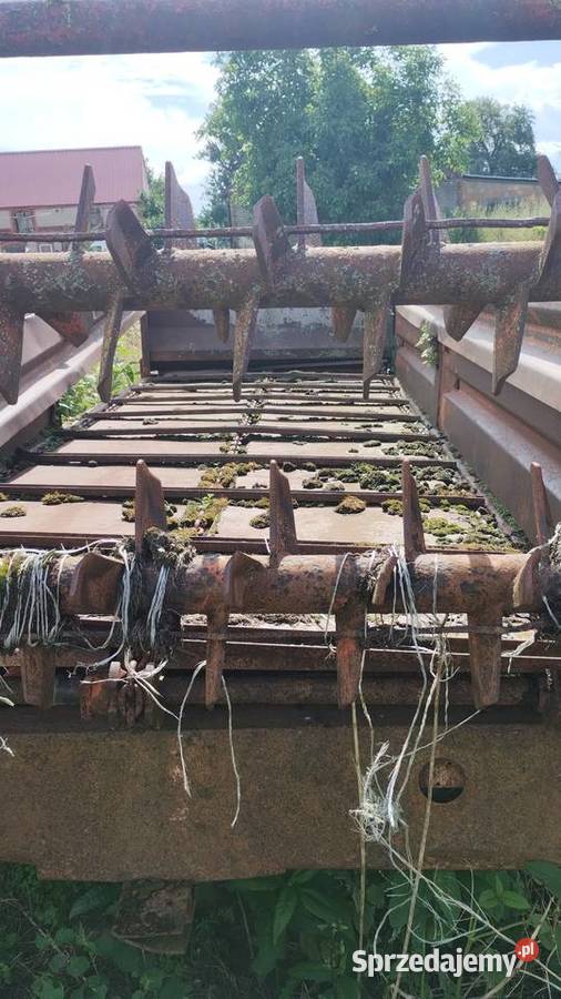 Rozrzutnik nieuszkodzony Pęzino