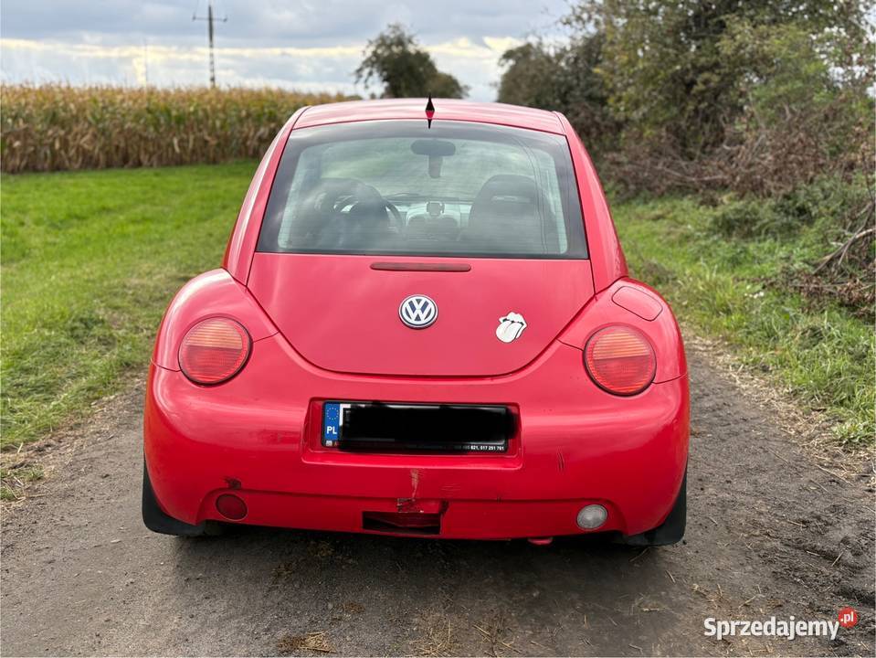 Volkswagen Beetle Beetle wielkopolskie