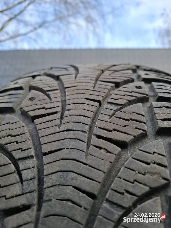 Opony 2356018 Pirelli Biały Kościół