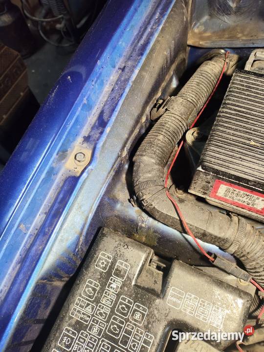 Sprzedam Mitsubishi Pajero pinin 20gdi Rok produkcji 2001 kujawsko-pomorskie Wąbrzeźno