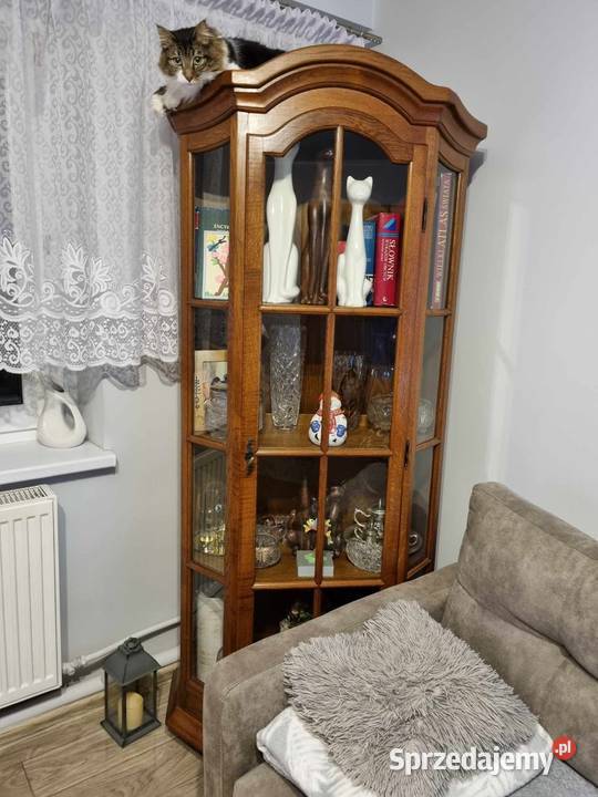 Witryna dębowa Kowalewo Pomorskie sprzedam