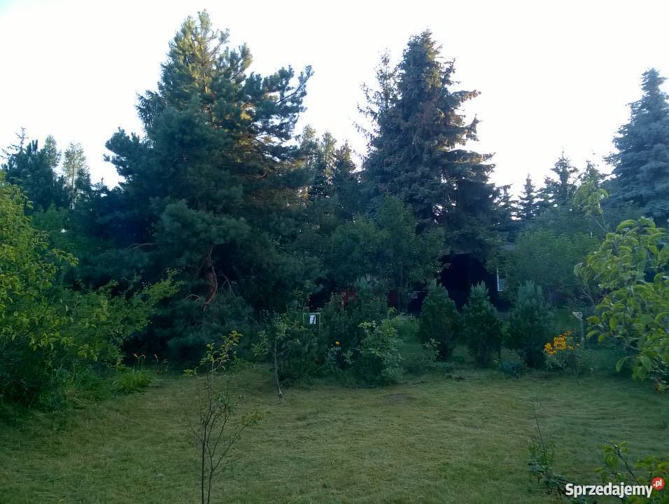 Działka rekreacyjna 300m2 Białołęka Dworska Warszawa sprzedam