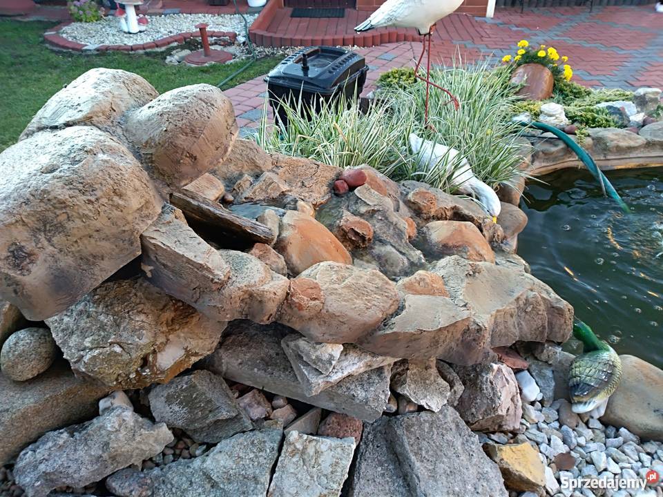 Oczko wodne komplet Myszków sprzedam