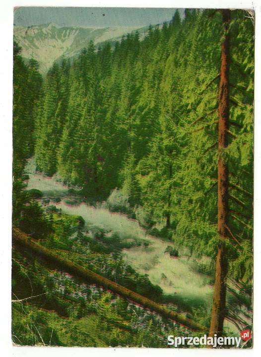 TATRY POTOK CHOCHOŁOWSKI POCZTÓWKA świętokrzyskie Krynki sprzedam