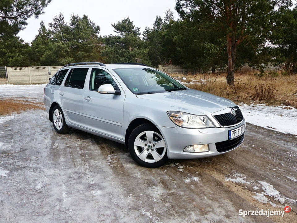 koda Octavia 16 Piła