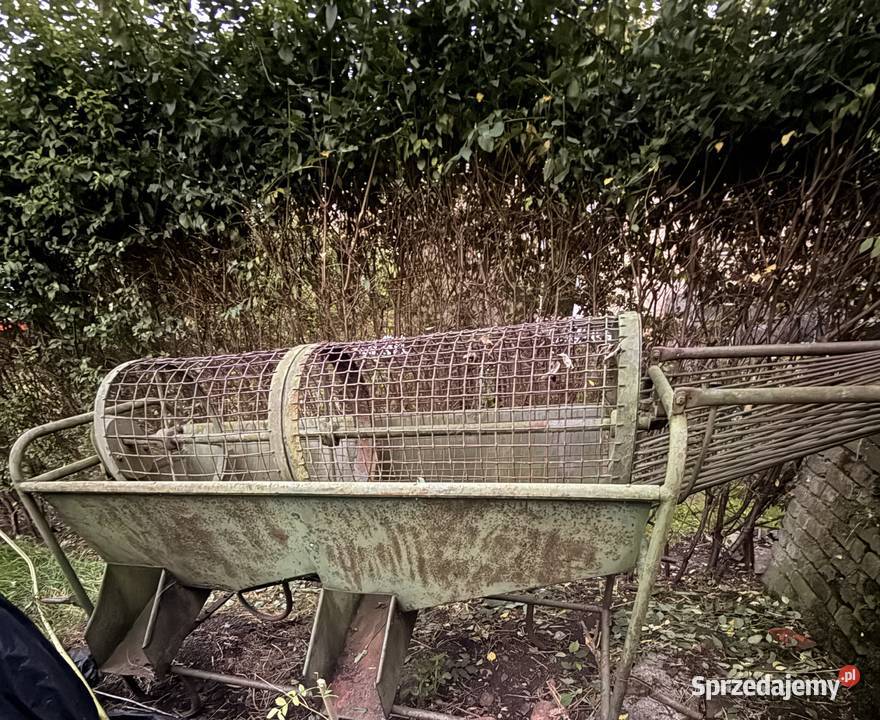 Sortownik do ziemniaków Bogdaniec