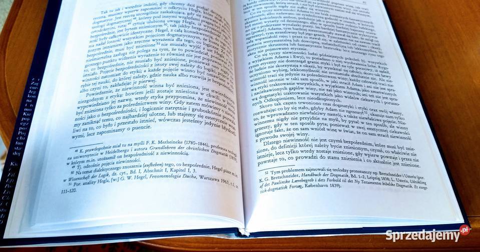 Pojęcie lęku proste rozważania o charakterze ISBN 8391175065