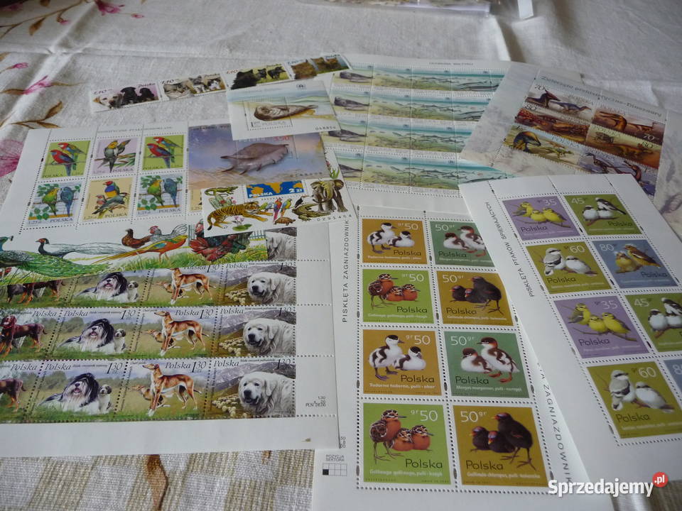 Zestaw bloczków i arkusików 2 Bukowno sprzedam