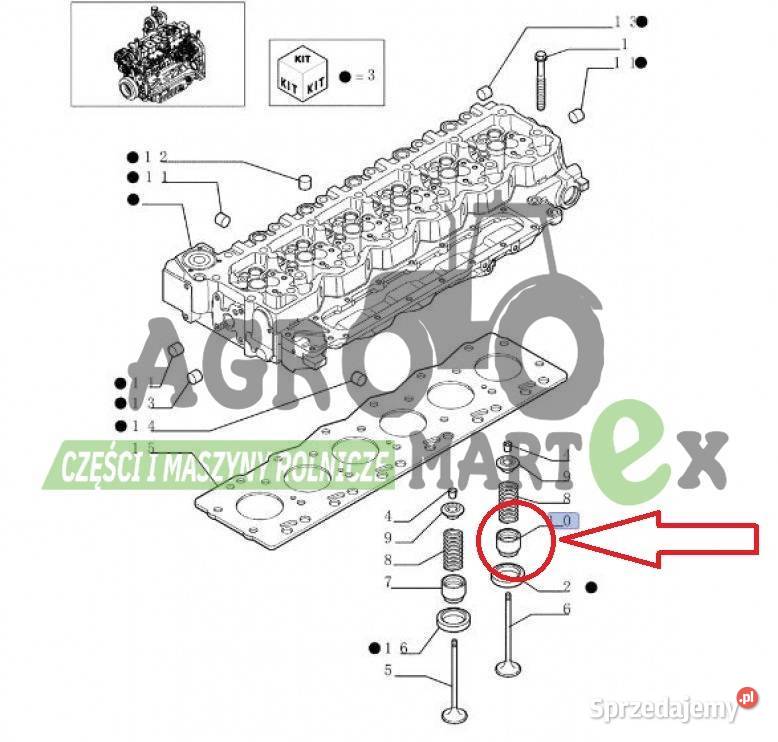 4895411 6901091 USZCZELKA ZAWORU CNH Wichrów