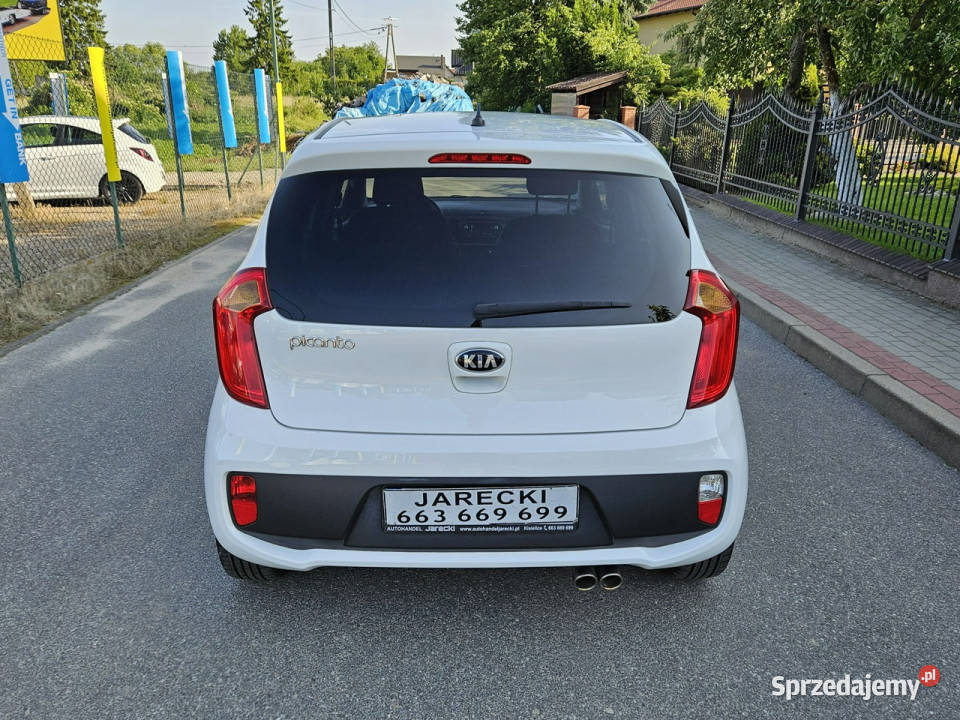 Kia Picanto Opłacona Zdrowa Zadbana Serwisie podgrzewane fotele Kisielice