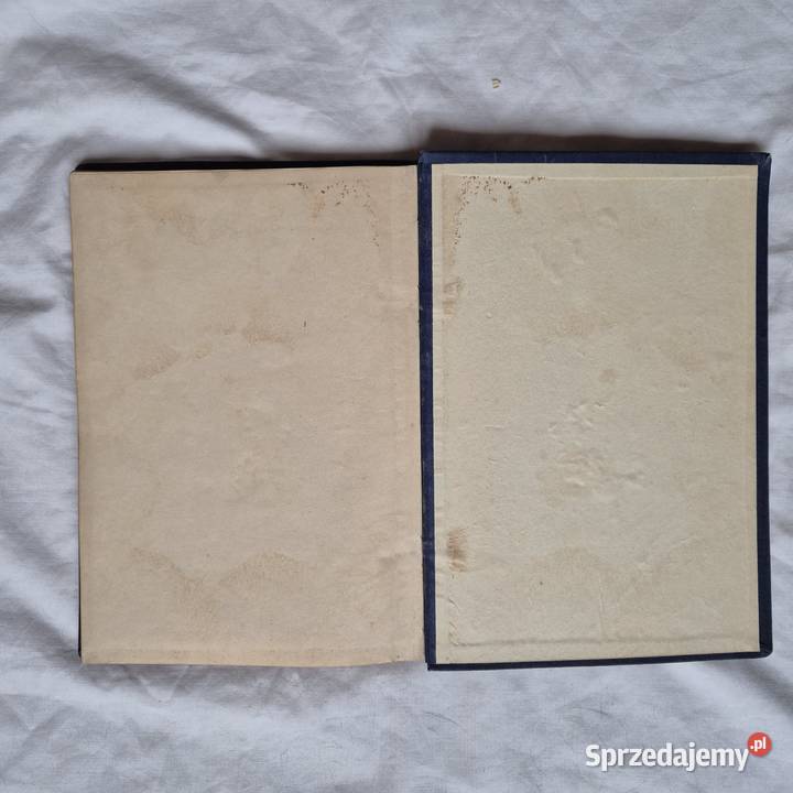 Hopliński 1927 Kraków Farby i Spoiwa Unikat Brzesko