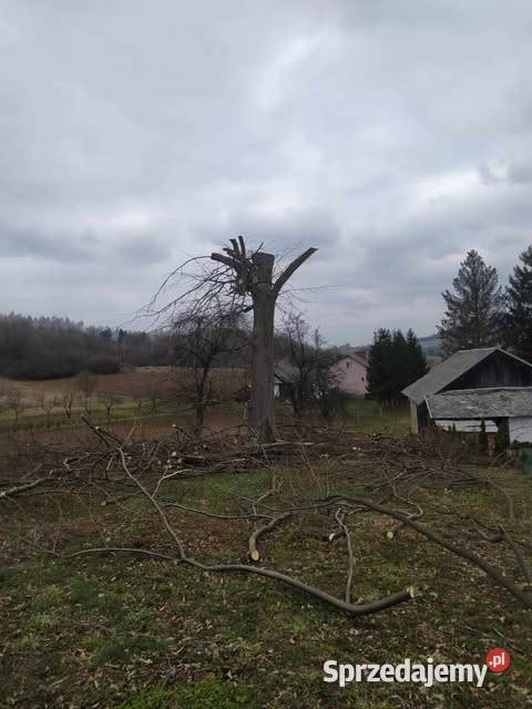 Opróżnianie mieszkań Wywóz śmieci złomu itp Jasło