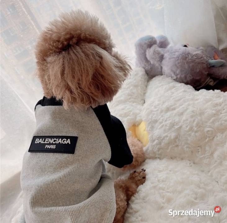 Nowa bluza ubranko psa Balenciaga L3XL sprzedam
