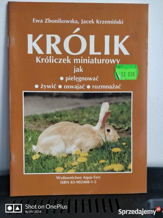 Książka zwierzęta Króliczek Miniaturowy opolskie Nysa