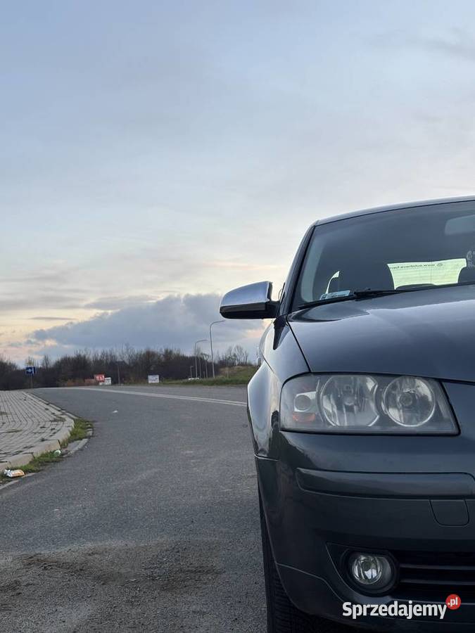 Audi a3 8p kompakt 16 mpi 102 2004r Rok produkcji 2004 Dzierżoniów sprzedam