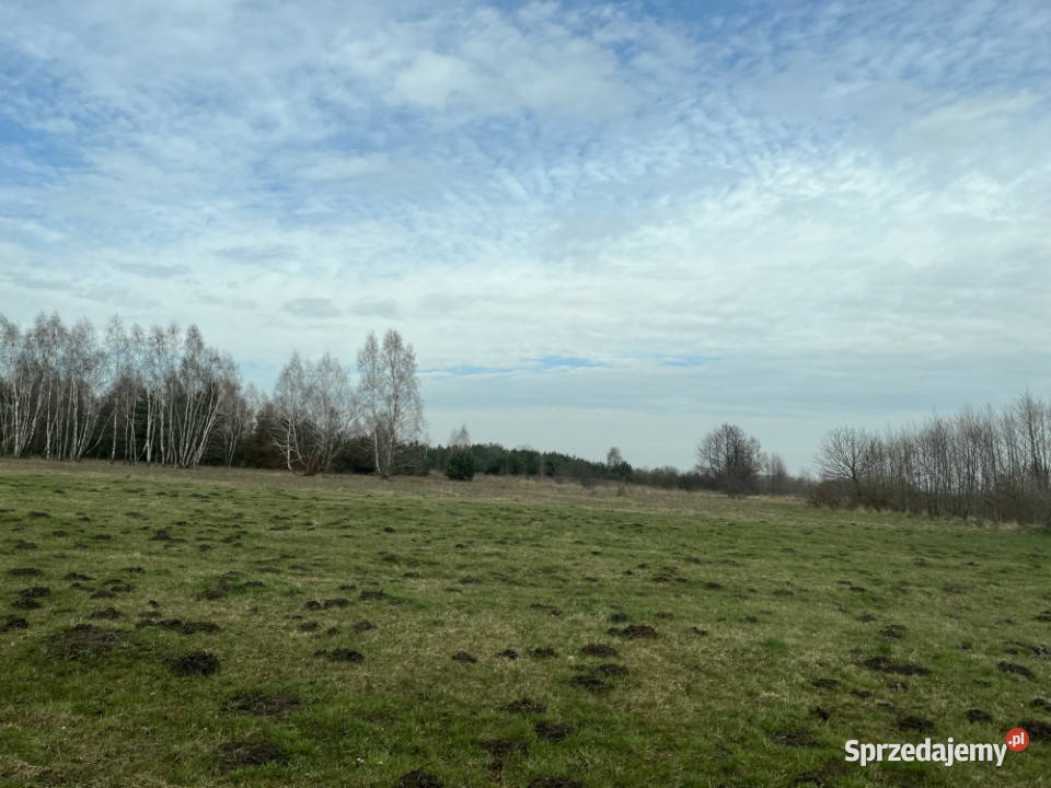 Sprzedam działkę Piaski Gmina Nieborów