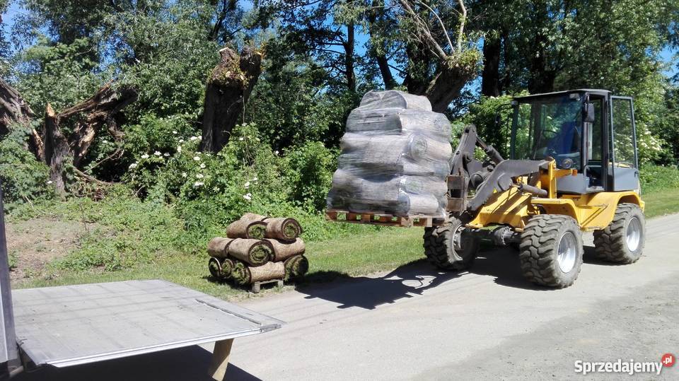 Producent trawy z rolki na folii 13 m2 mazowieckie Konstancin-Jeziorna