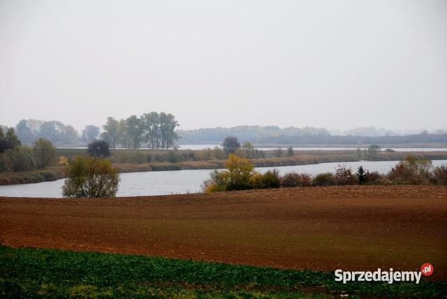 Działka siedliskowa 3000m2 Komorowo Sprzedajemy.pl