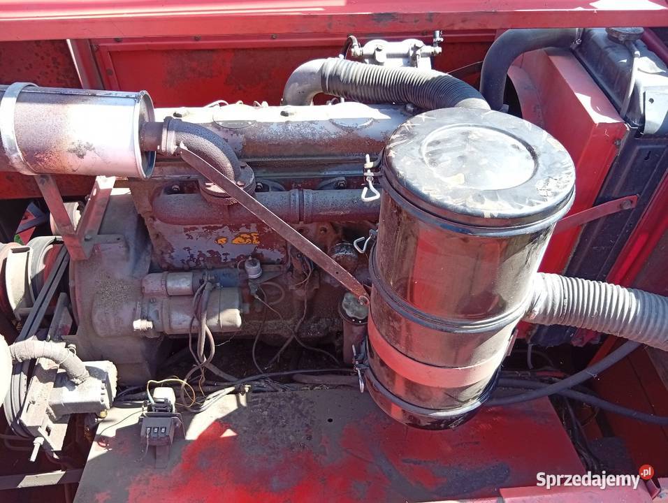 Bizon Zo56 Równianki