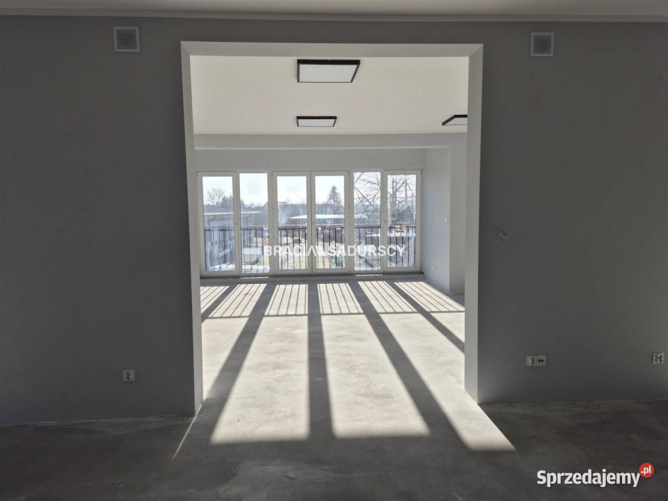 Lokal Kraków Łęg 310m2