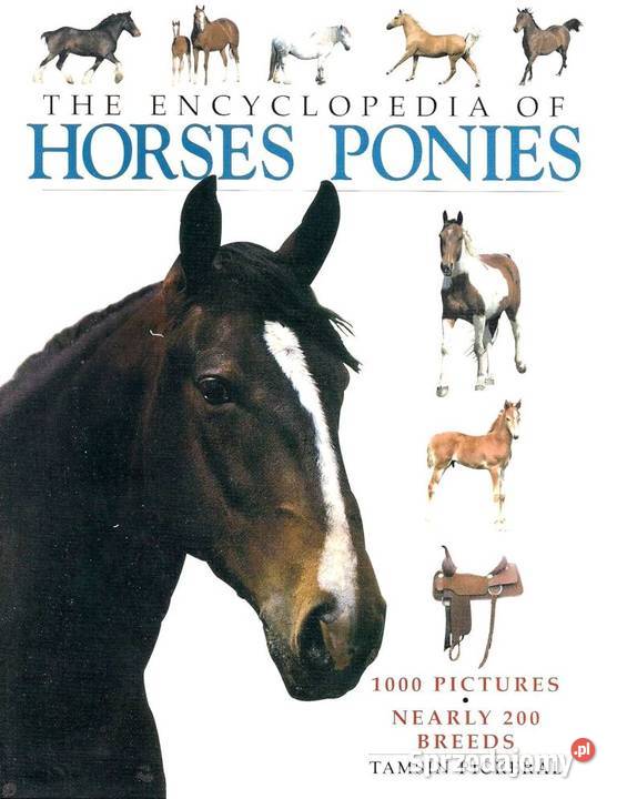 The Encyclopedia of Horses Ponies Tasmin zwierzęta domowe i hodowlane Kętrzyn sprzedam
