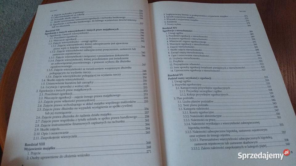 Wybrane zagadnienia egzekucji sądowej Gdańsk