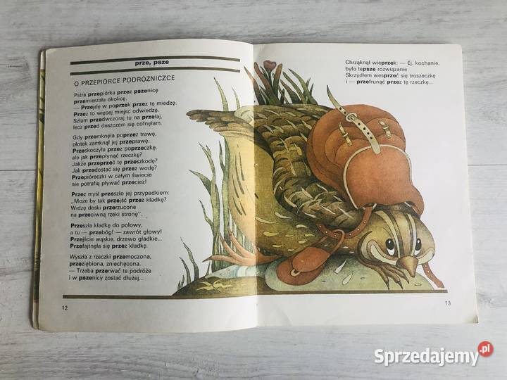 Książka Chrząszcz w trzcinie Hanna Łochocka Łódź sprzedam