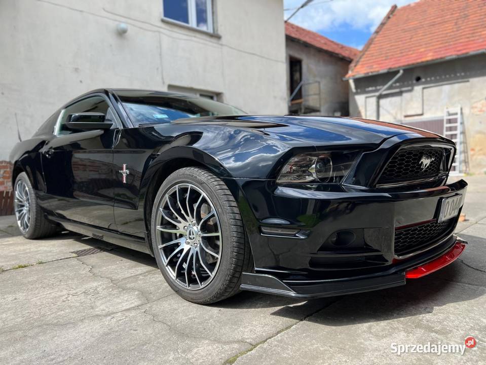 Mustang Premium 37 305 81000TKM ROUSH czarny