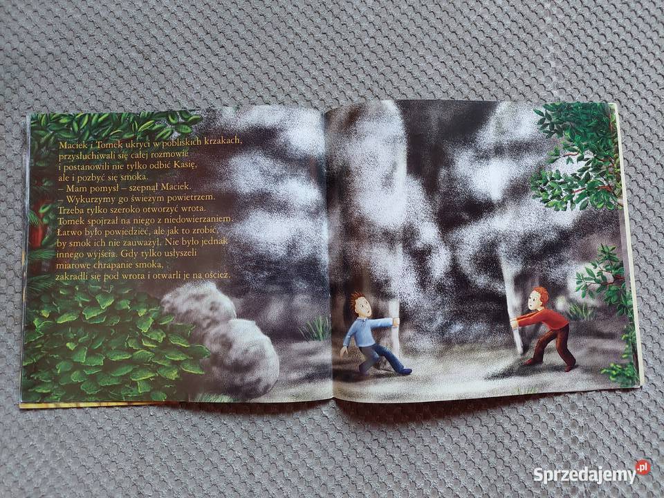 ekobajka Smok czy smog Wioletta Sowa Kraków