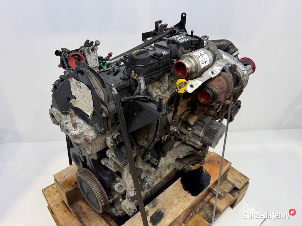 SILNIK UGJC Ford Fiesta VII MK7 B B 15 TDCI 75 osobowe Chełm