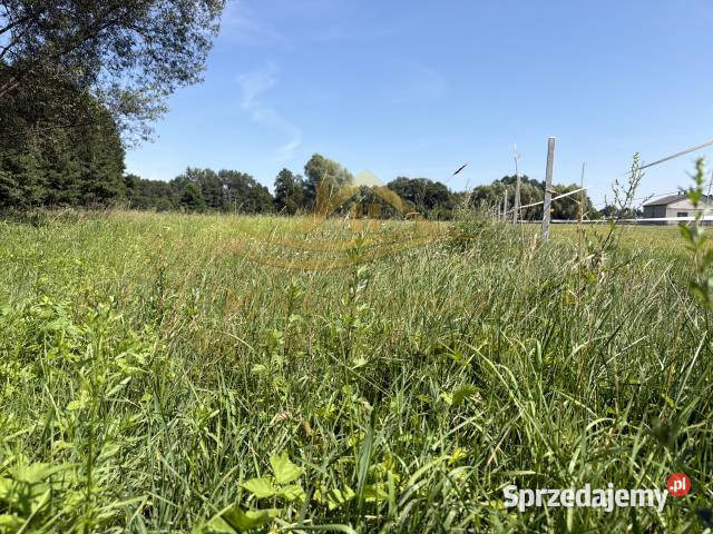 sprzedaży działki Budy Zosine 5700m2 Sprzedaż