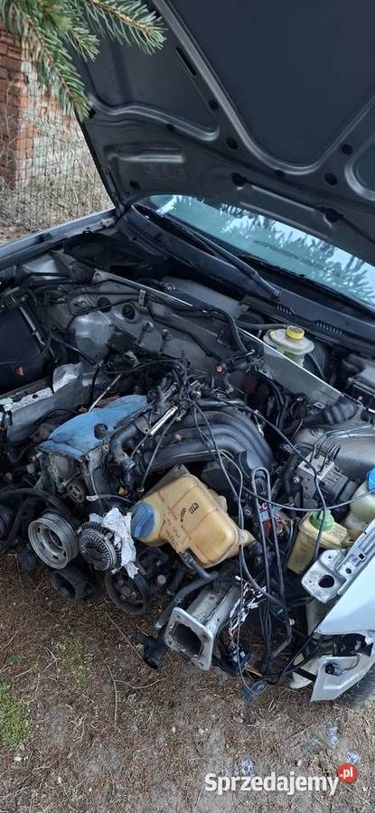 Audi a4 16 części 30km Nowa Sól