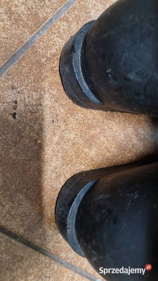 Buty narciarskie Dalbello Avanti truflex 90120 śląskie Świętochłowice