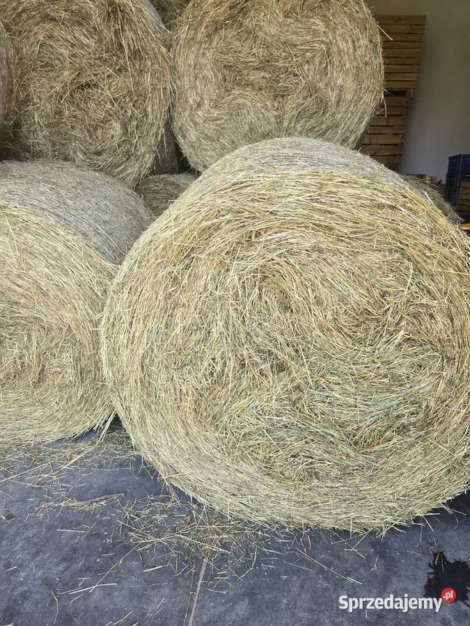 Sprzedam siano pierwszy pokos