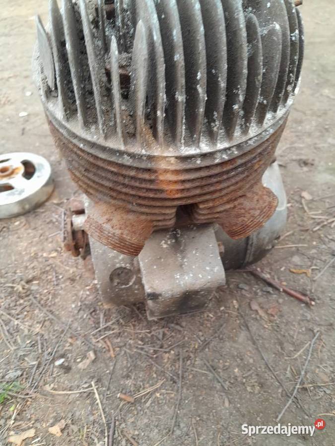 Silnik pannonia Świerzawa