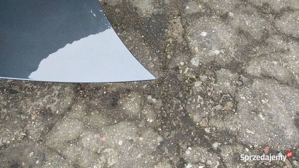 PORSCHE PANAMERA 971 MASKA POKRYWA zachodniopomorskie