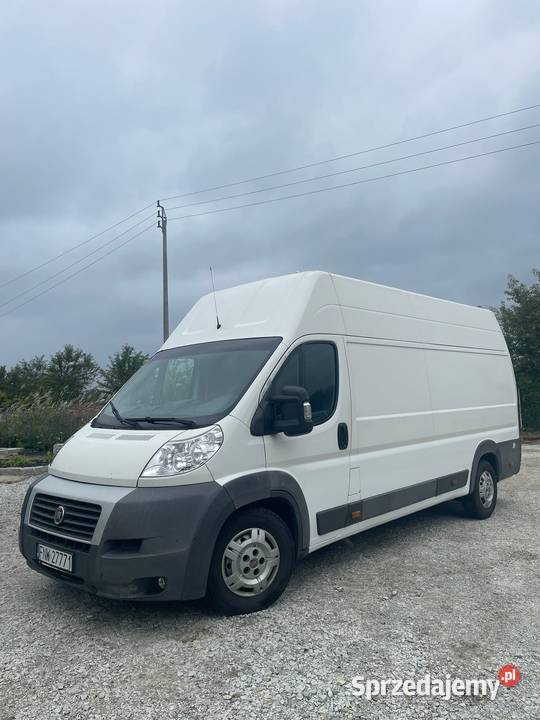 Ducato 30 maxi bezwypadkowy Siedlisko