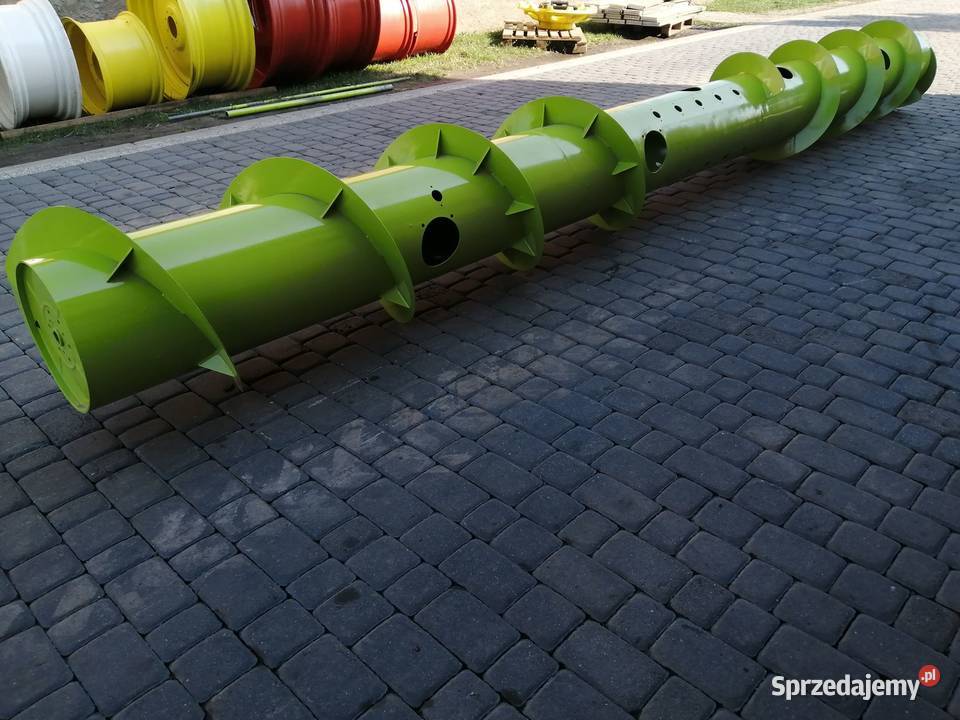 Żmijka hederu 540m Claas Wilkowo