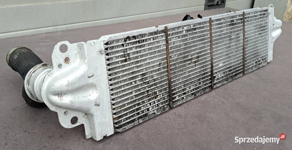Intercooler chłodnica powietrza VW Transporter dostawcze