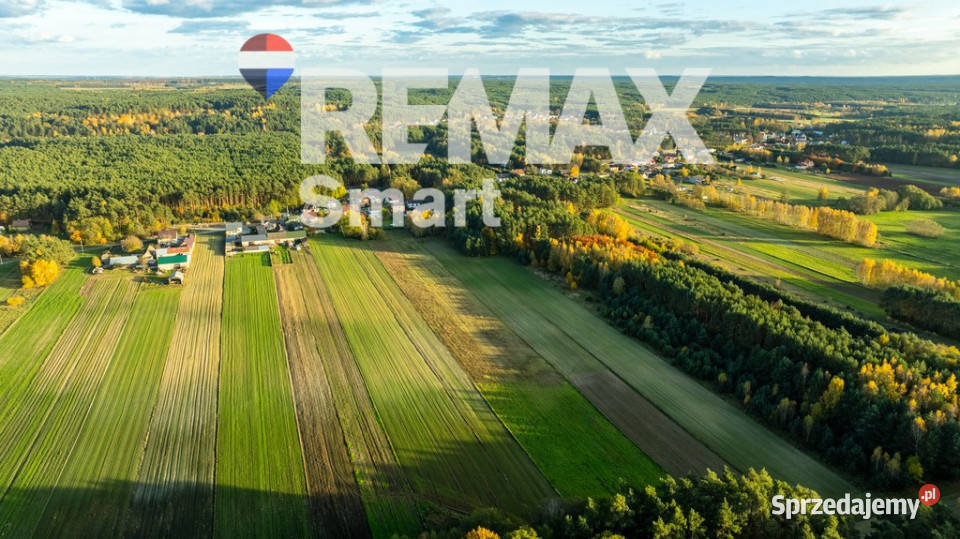 Dom z potencjałem w Toporowie z dużą działką 10844m2 Toporów